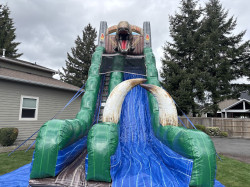 22 FT Jurrasic Slide Single lane