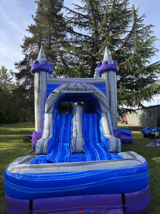 Amelia's Castle Dual Lane Wet Or Dry