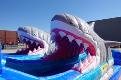 IMG 3752 1756088522 🌊🦈 18ft Dual Lane Shark Attack Water Slide 🦈🌊