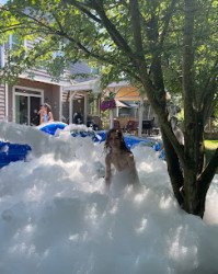 foam20party 1771869408 Foam machine