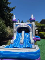 tacooma20princess20bounce20house 1771890148 Amelia's Castle Dual Lane Wet Or Dry