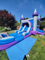 unnamed202 1771890149 Amelia's Castle Dual Lane Wet Or Dry