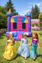 Razzle Dazzle Jumper