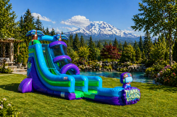 18ft Tunnel Vison Water Slide Single Lane