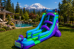 ChatGPT20Image20Apr20222020262011 01 4120AM 1776880939 18ft Tunnel Vison Water Slide Single Lane